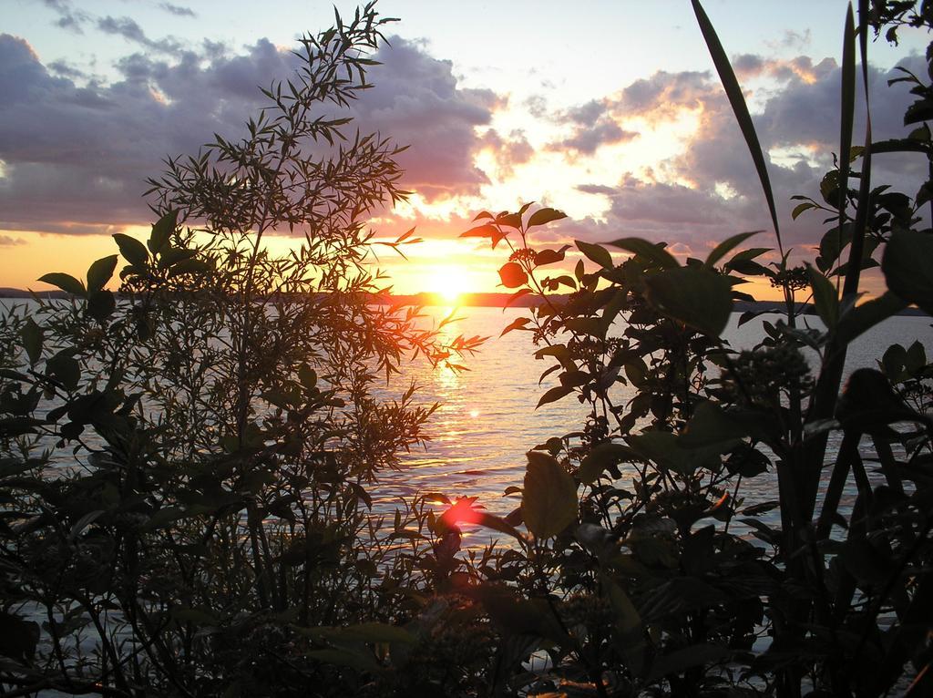 Golden Beach Resort Roseneath Εξωτερικό φωτογραφία